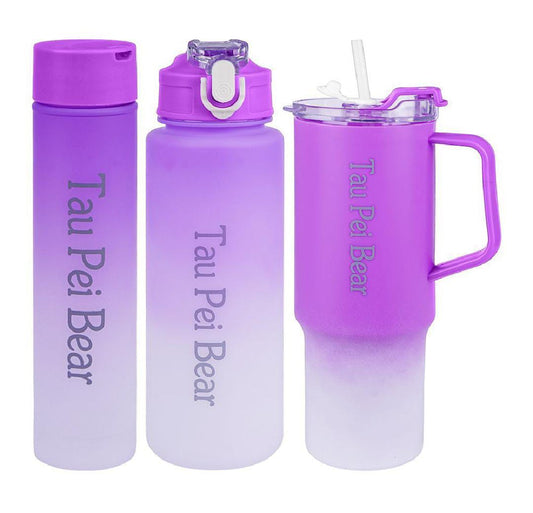 3-Piece Insulated Tumbler Set with Handle & Straw